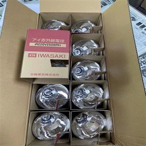 JCR12V30W20H/G1玉崎供应日本EYE岩崎卤素灯泡